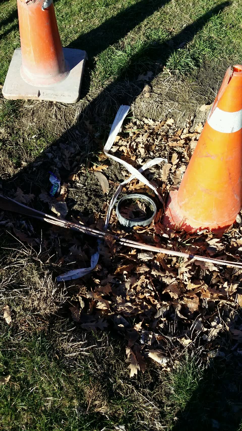 The photograph attached to this parks report
