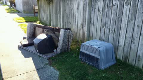 Rubbish/Recycling, a report photo