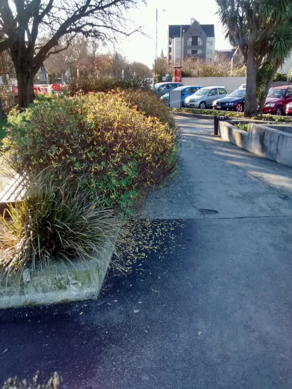 The photograph attached to this parks report