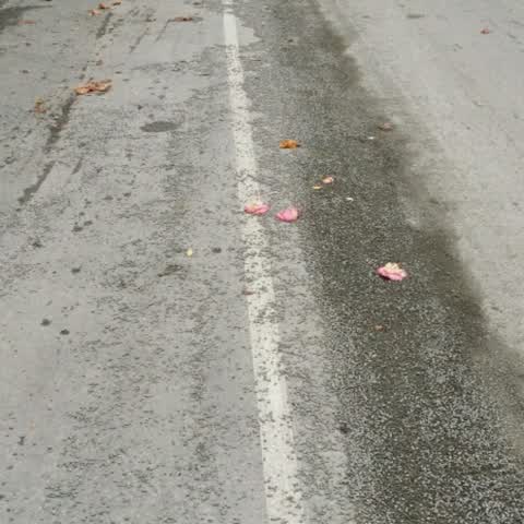 Roading/Streets, a report photo