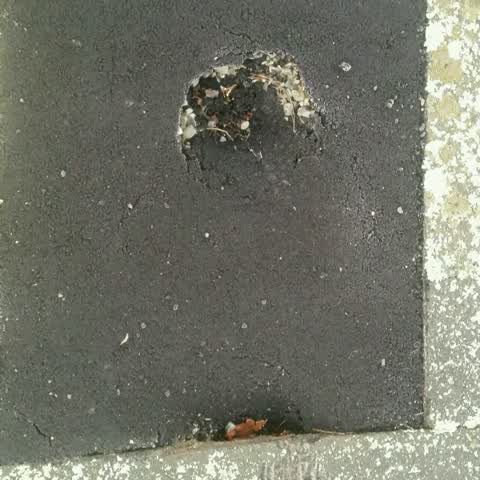 Roading/Streets, a report photo