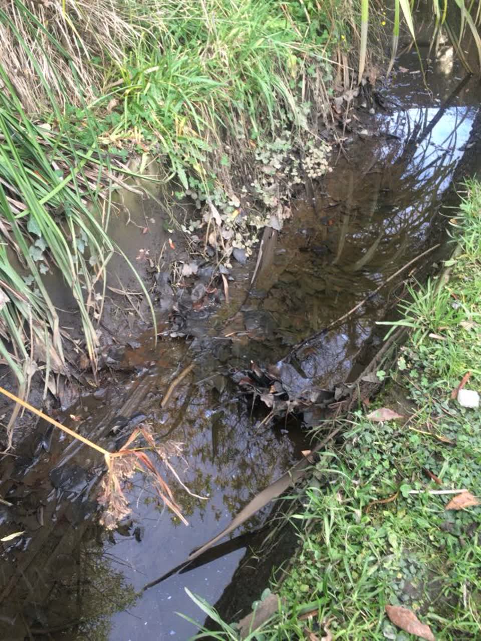 The photograph attached to this wastewater/stormwater report