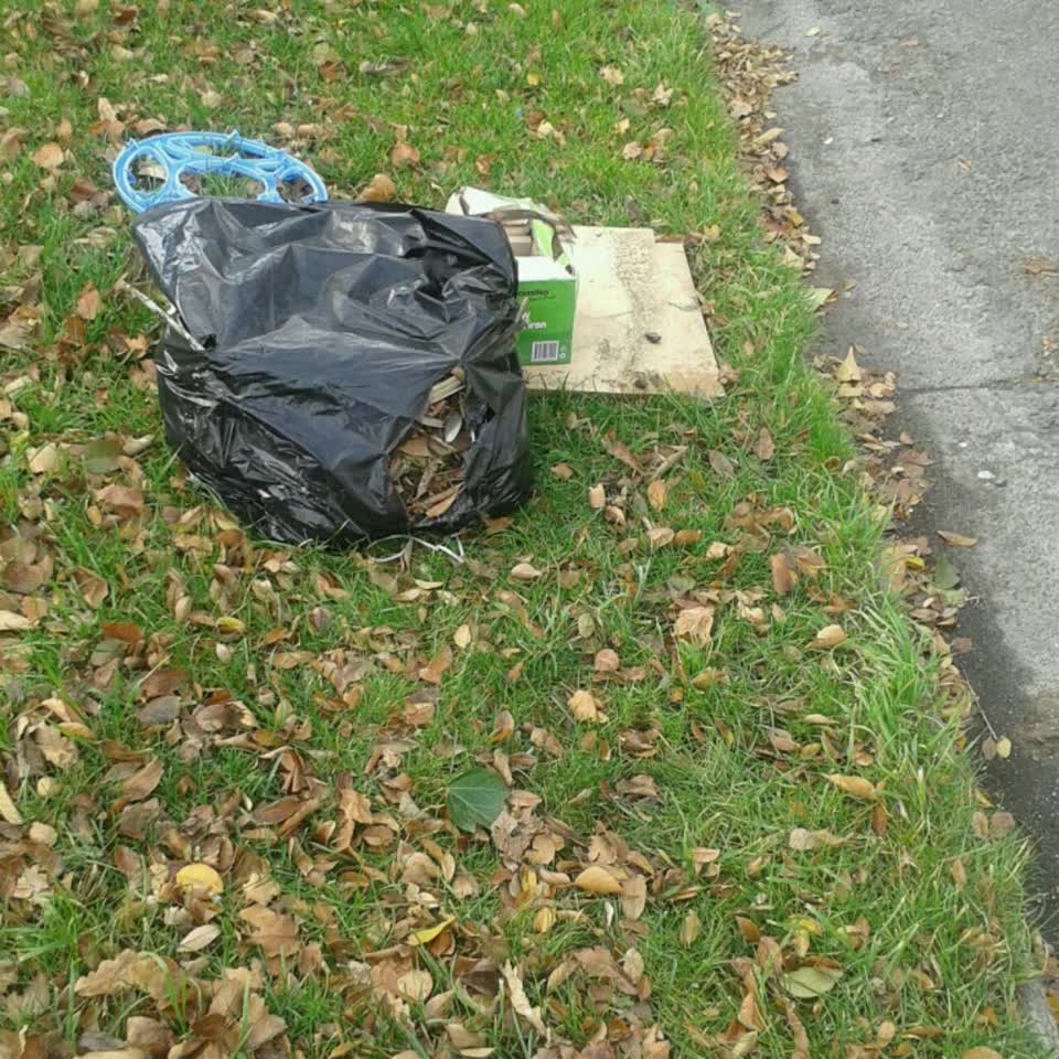 The photograph attached to this rubbish/recycling report