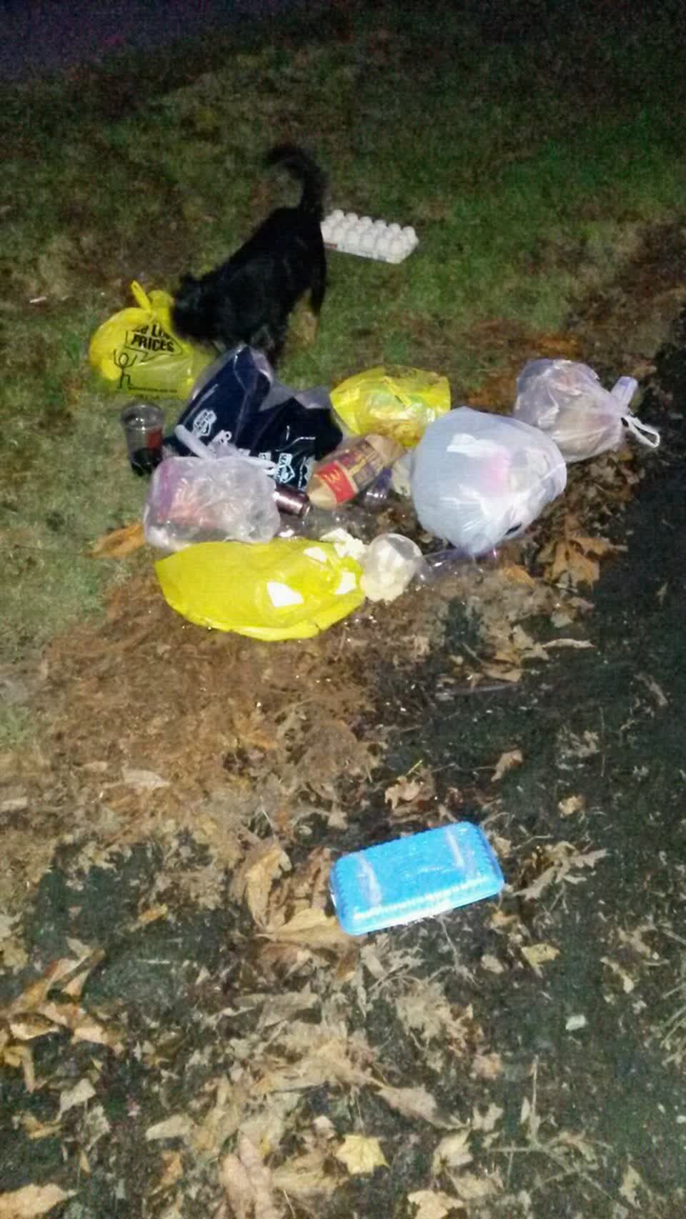 The photograph attached to this rubbish/recycling report