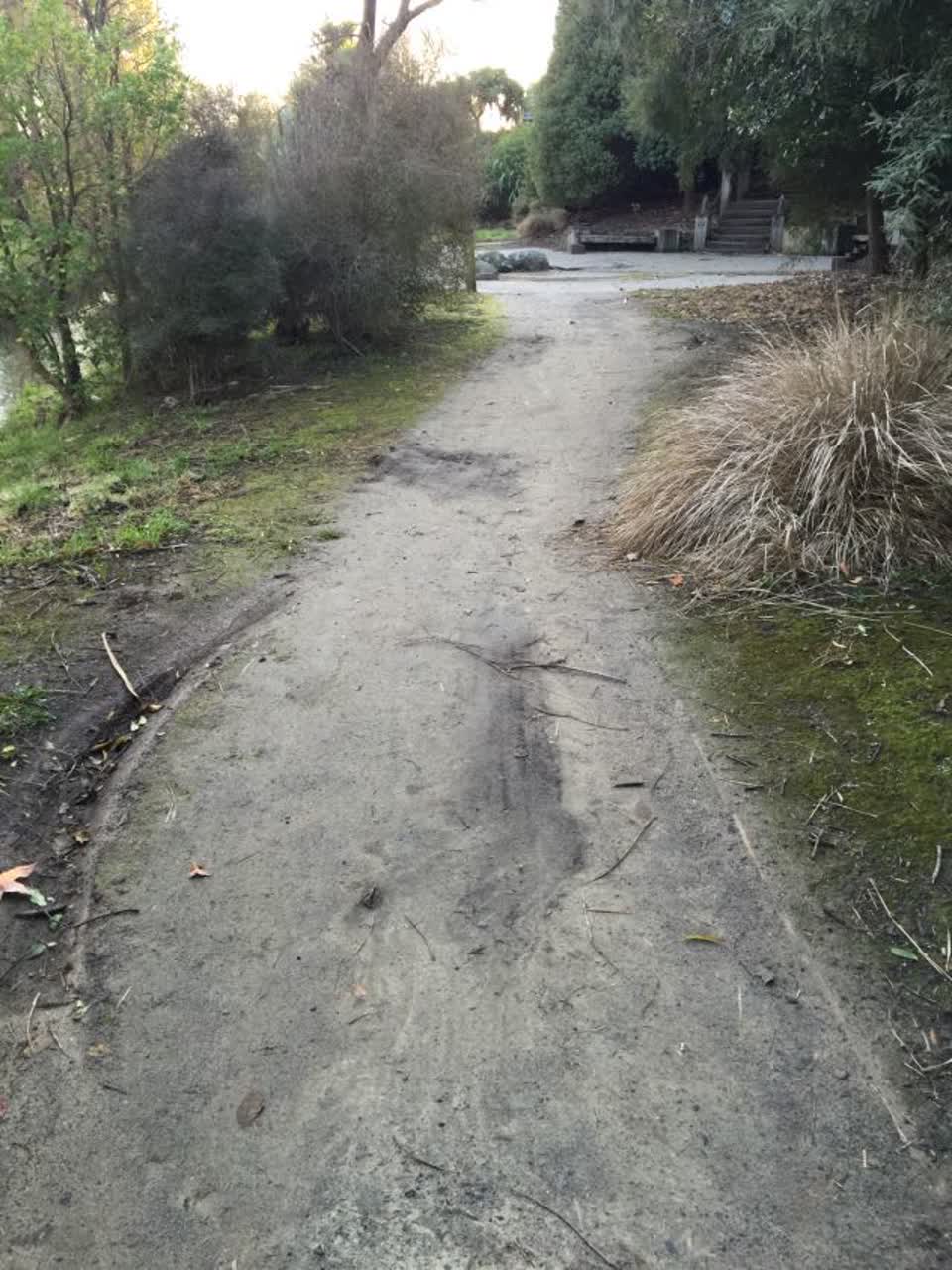 The photograph attached to this parks report
