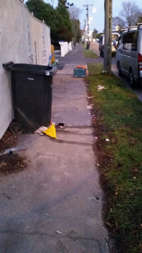Rubbish/Recycling, a report photo