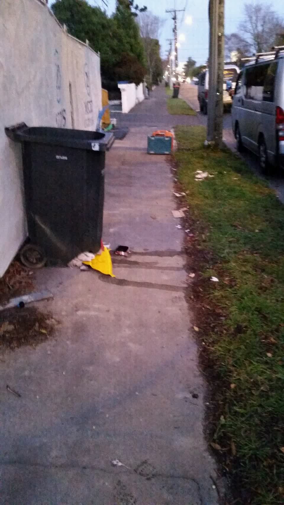 The photograph attached to this rubbish/recycling report