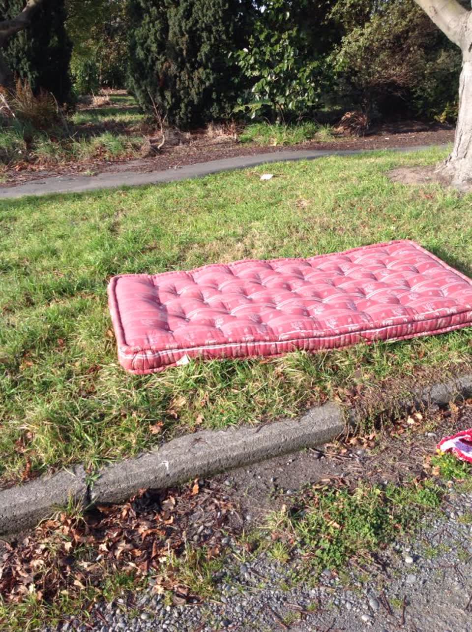 The photograph attached to this rubbish/recycling report