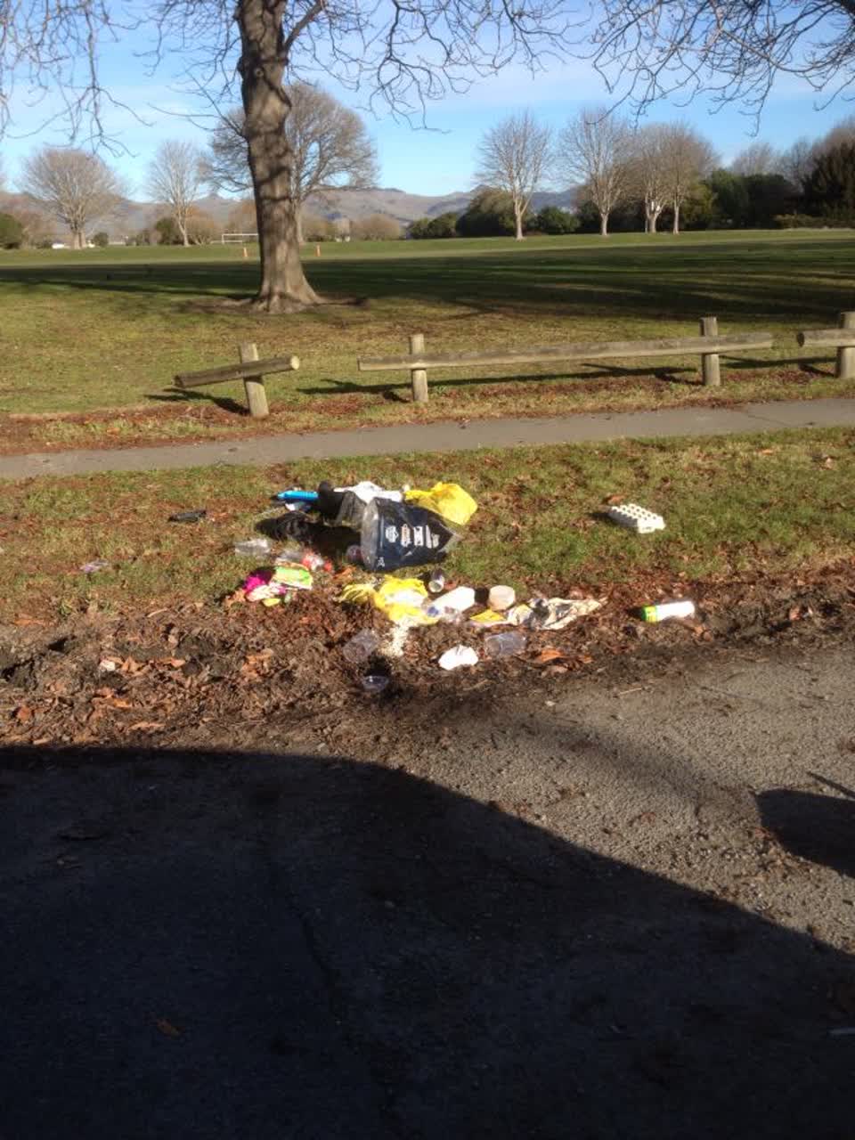 The photograph attached to this rubbish/recycling report