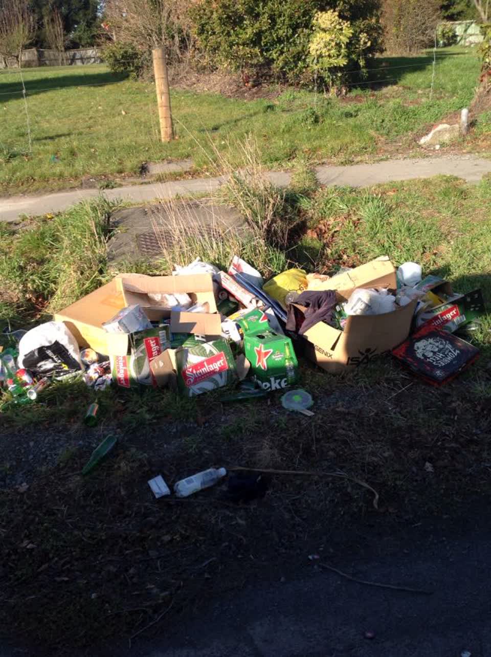 The photograph attached to this rubbish/recycling report