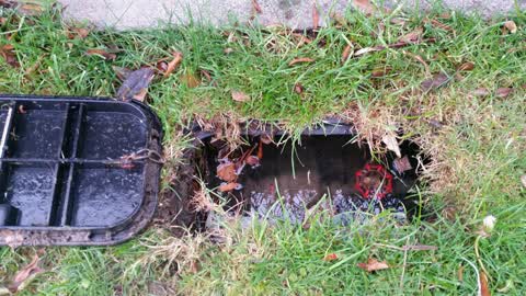 Water Supply, a report photo