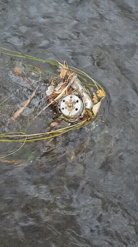 Rubbish/Recycling, a report photo
