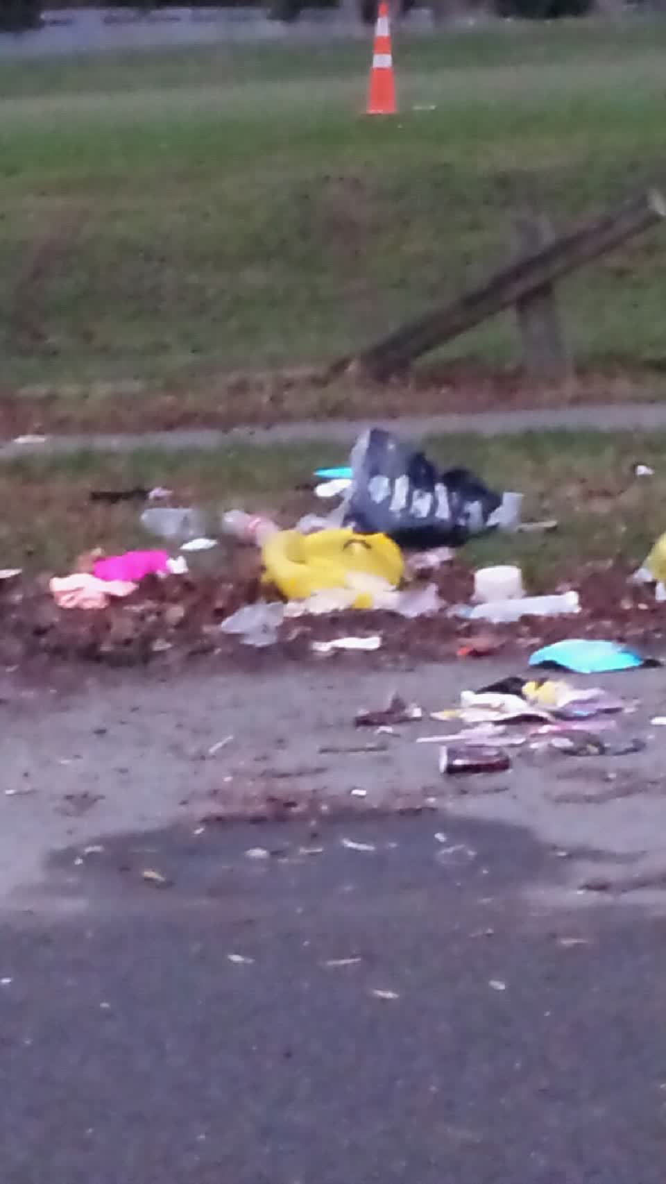 The photograph attached to this rubbish/recycling report