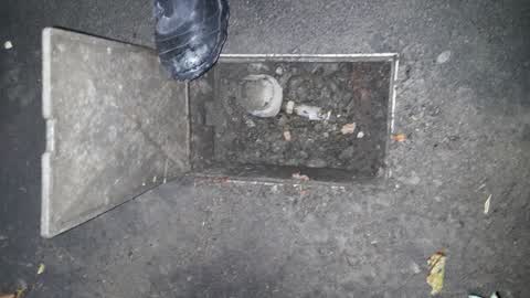 Water Supply, a report photo