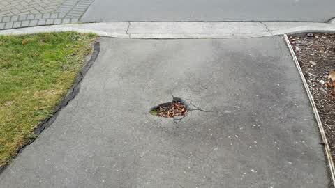 Roading/Streets, a report photo