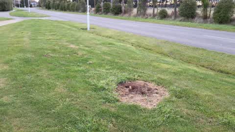 Roading/Streets, a report photo