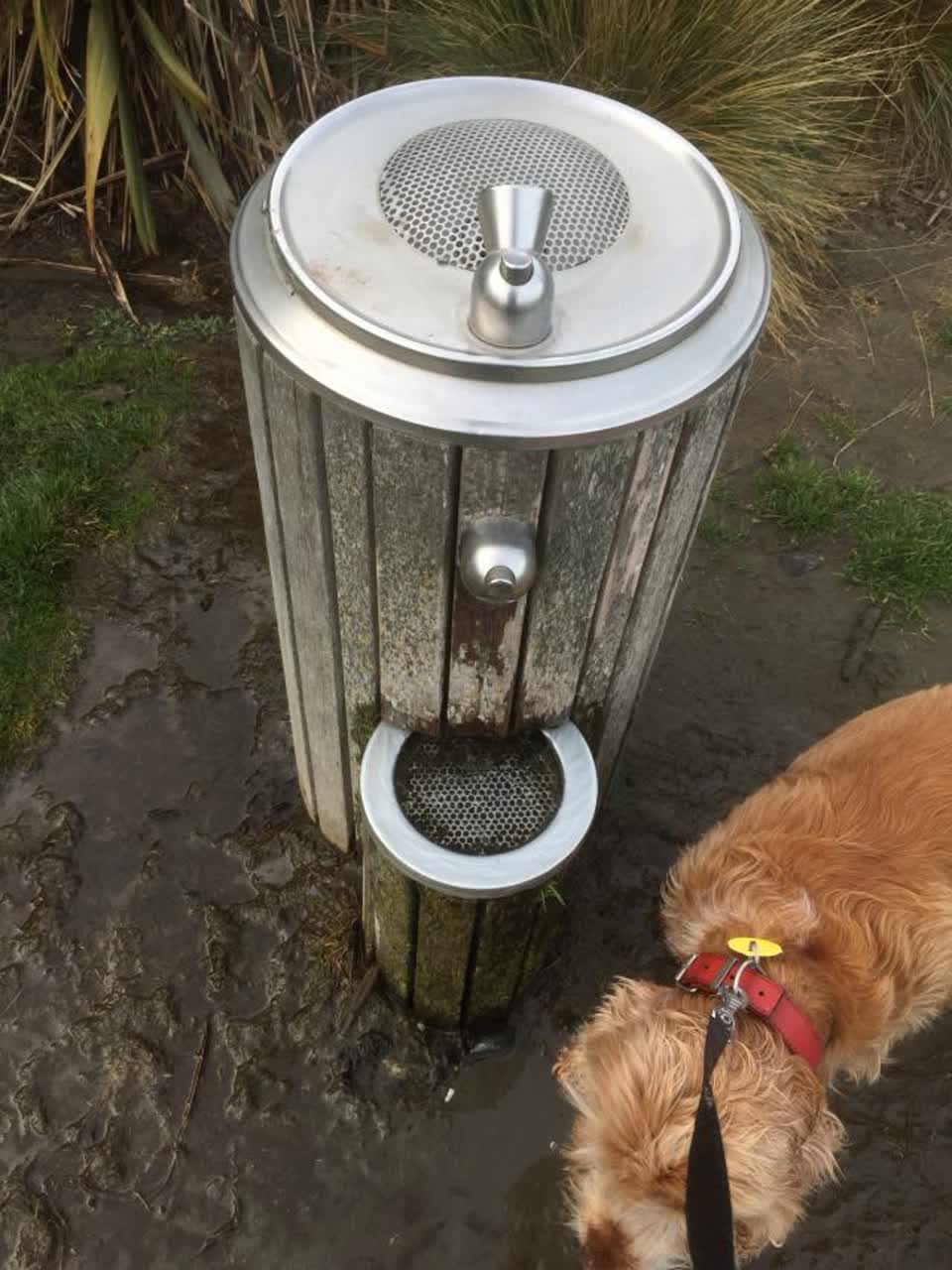 The photograph attached to this parks report