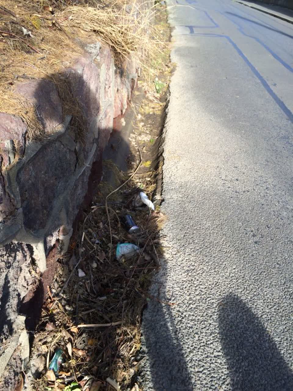 The photograph attached to this wastewater/stormwater report