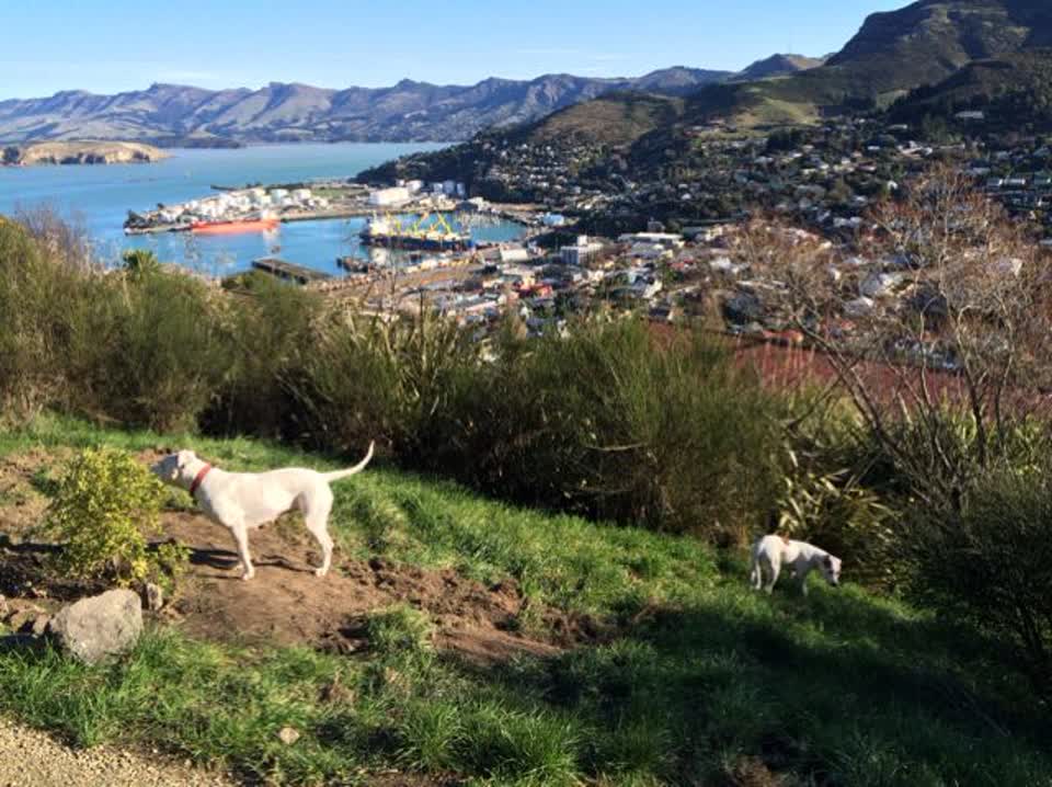 The photograph attached to this parks report