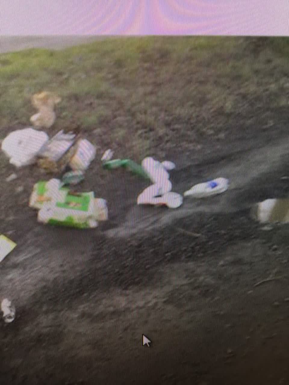 The photograph attached to this rubbish/recycling report