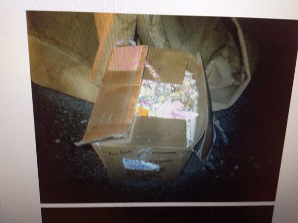 The photograph attached to this rubbish/recycling report