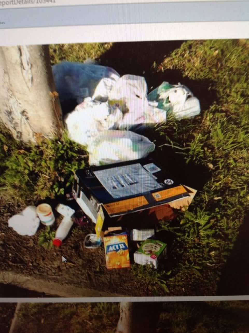 The photograph attached to this rubbish/recycling report