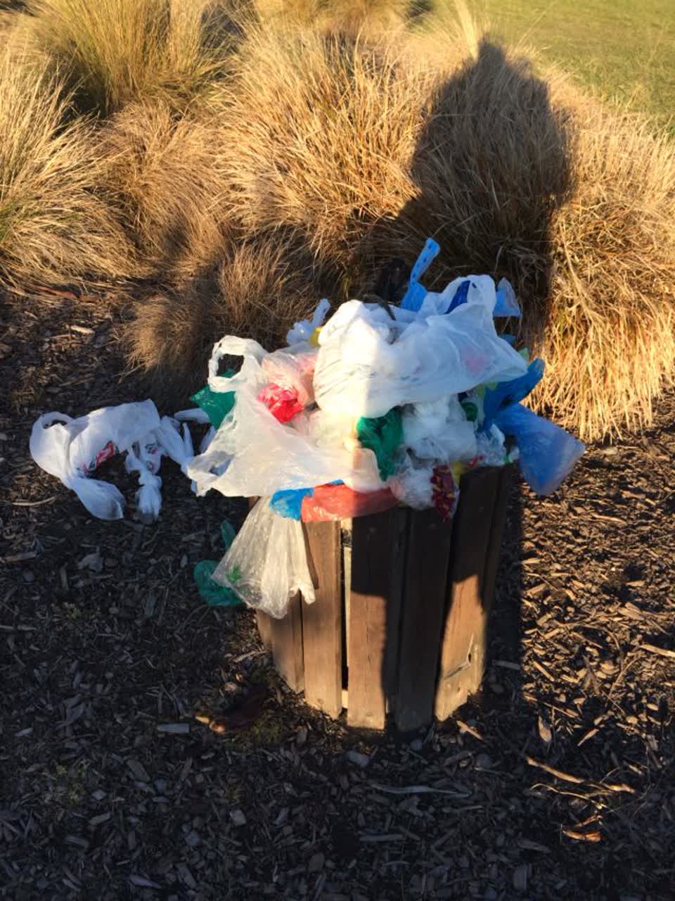 The photograph attached to this rubbish/recycling report