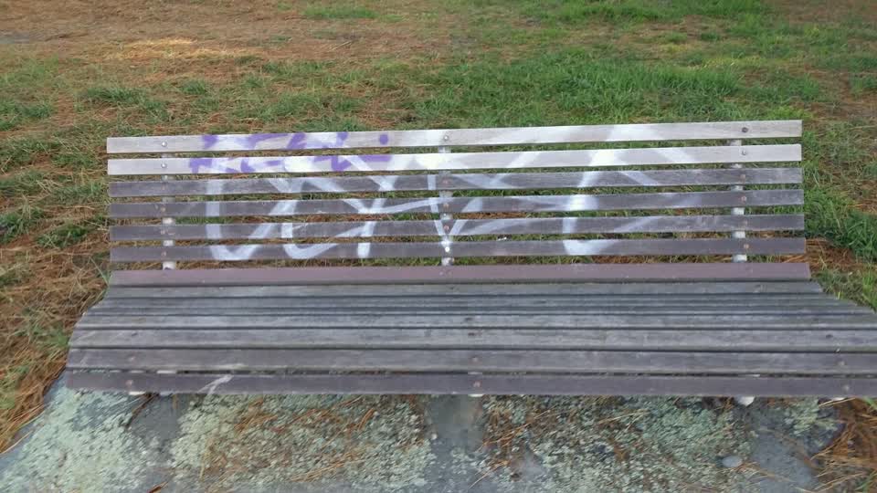 The photograph attached to this graffiti report