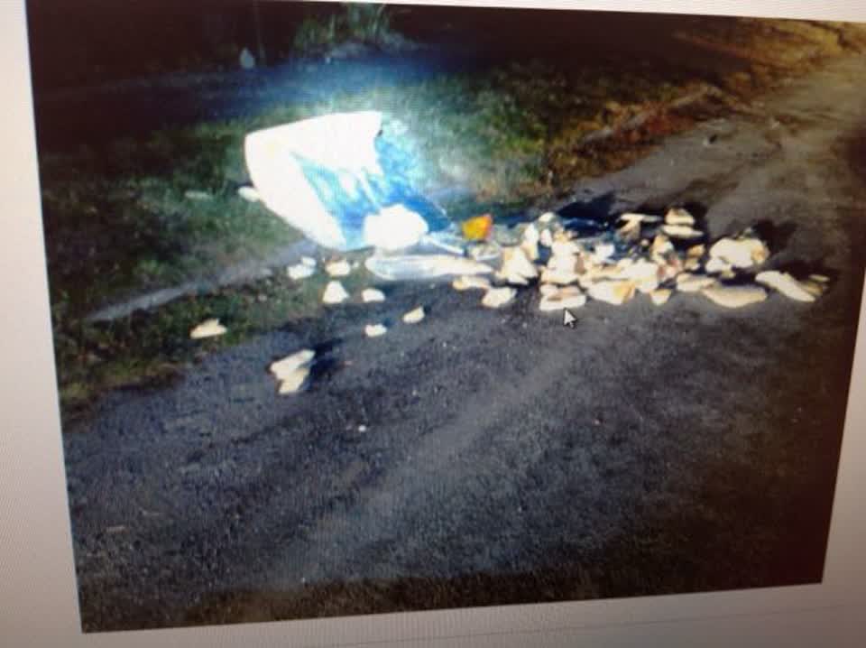 The photograph attached to this rubbish/recycling report