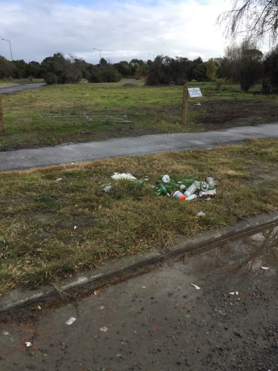 The photograph attached to this rubbish/recycling report