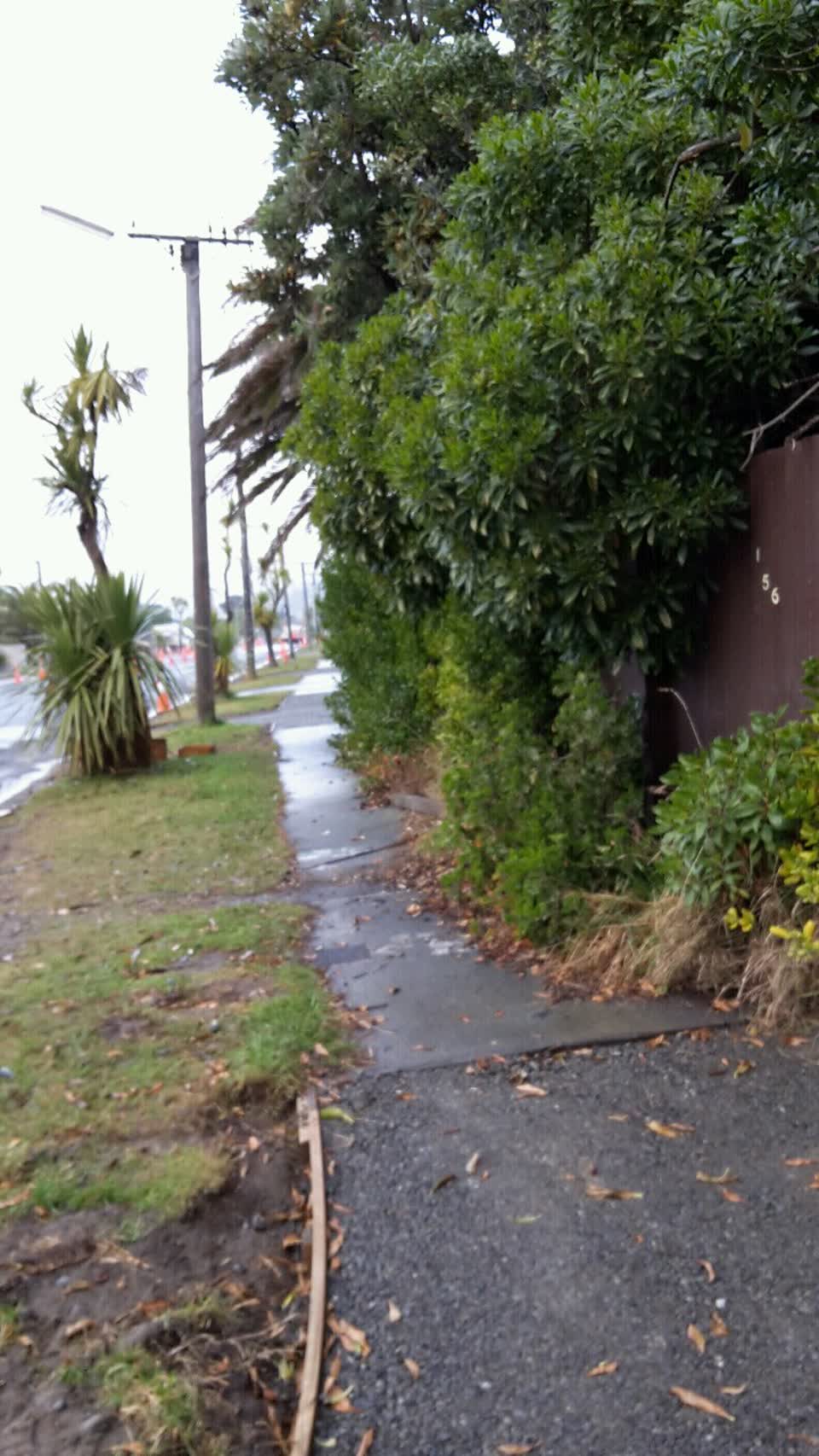 The photograph attached to this roading/streets report
