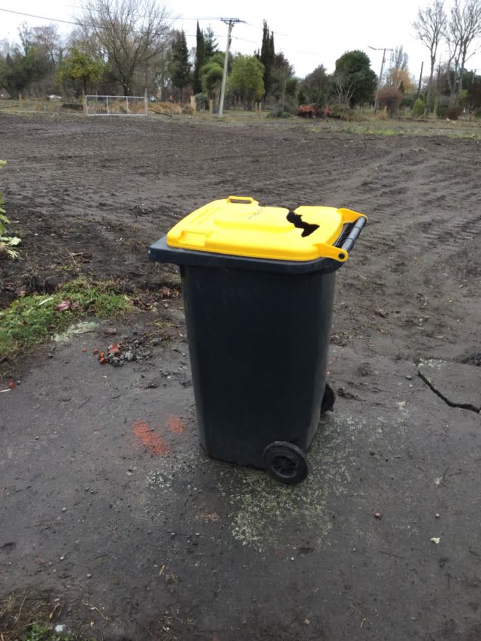 The photograph attached to this rubbish/recycling report