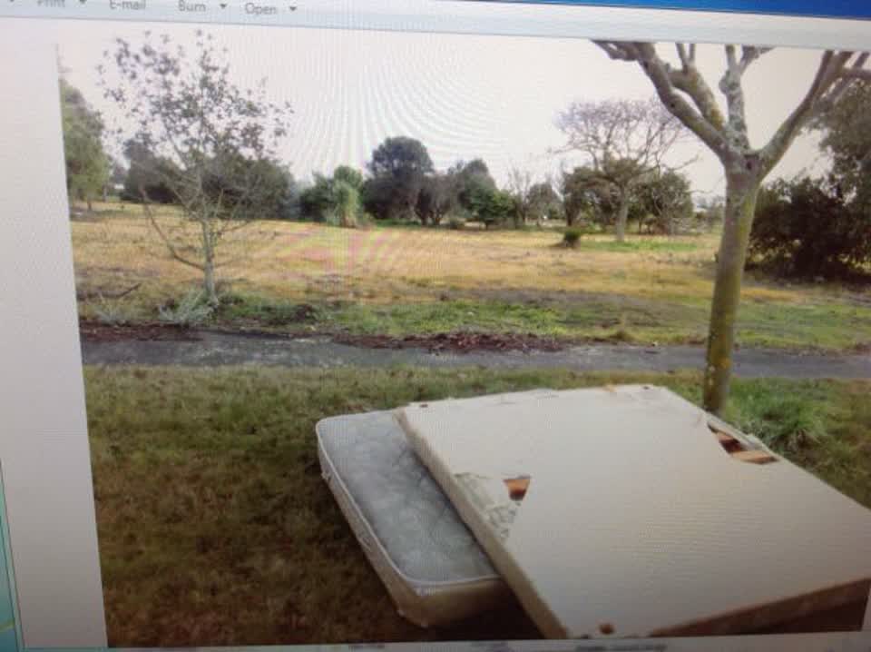 The photograph attached to this rubbish/recycling report