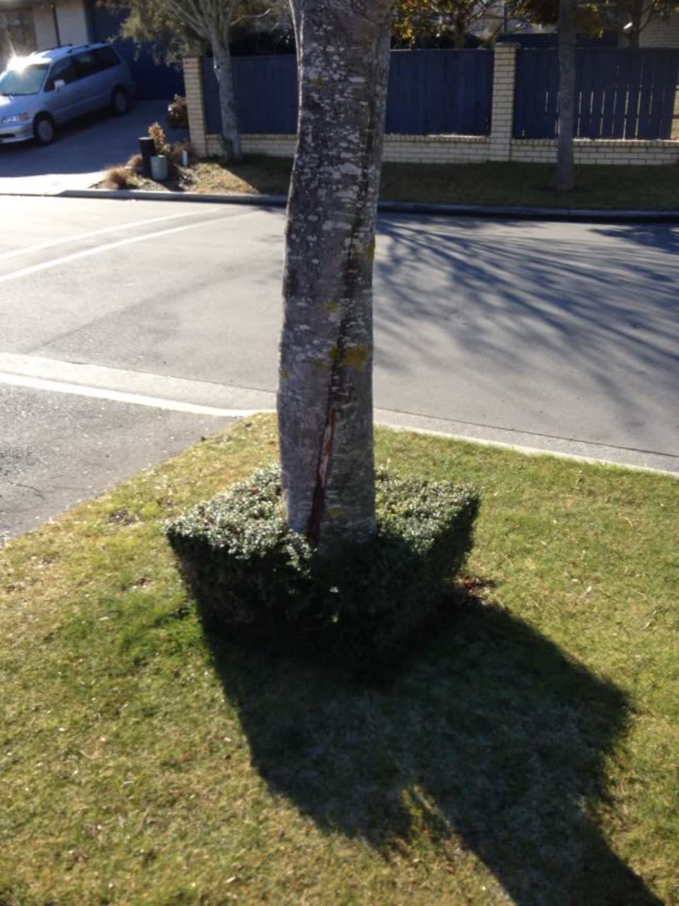 The photograph attached to this wastewater/stormwater report