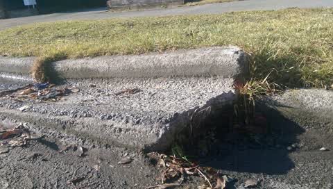 Roading/Streets, a report photo