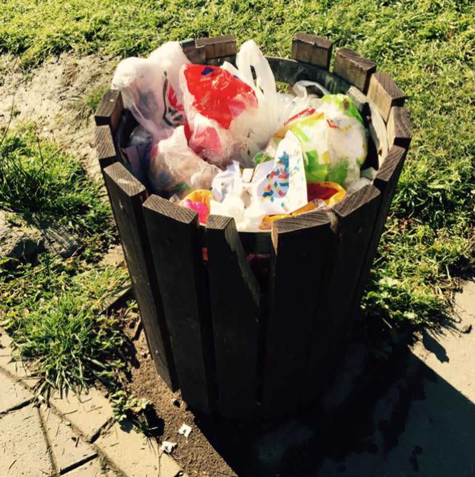The photograph attached to this parks report
