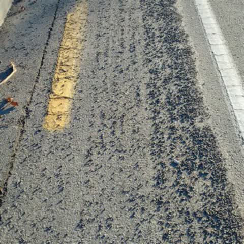 Roading/Streets, a report photo
