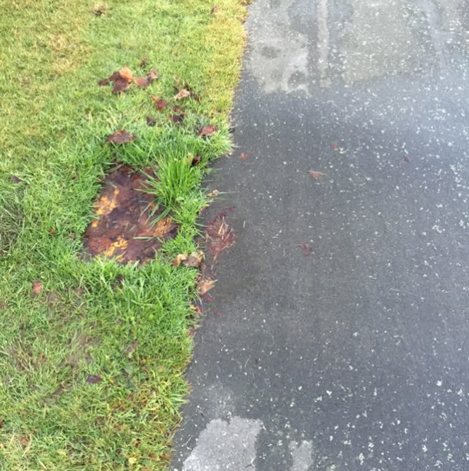 The photograph attached to this water supply report