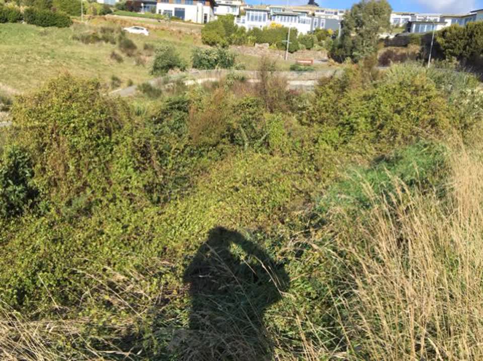 The photograph attached to this parks report