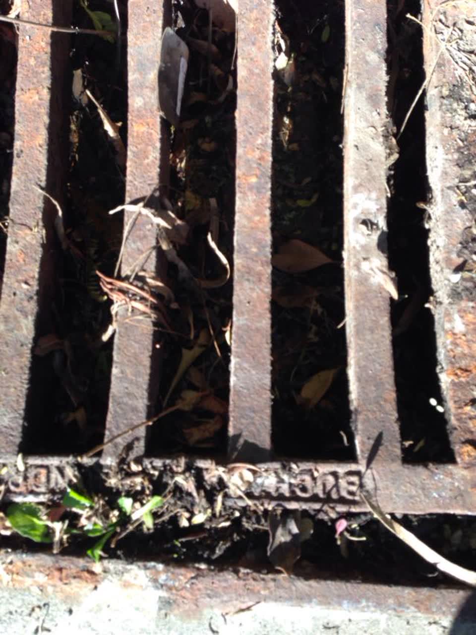 The photograph attached to this wastewater/stormwater report
