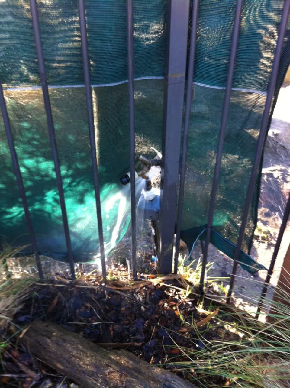 The photograph attached to this parks report