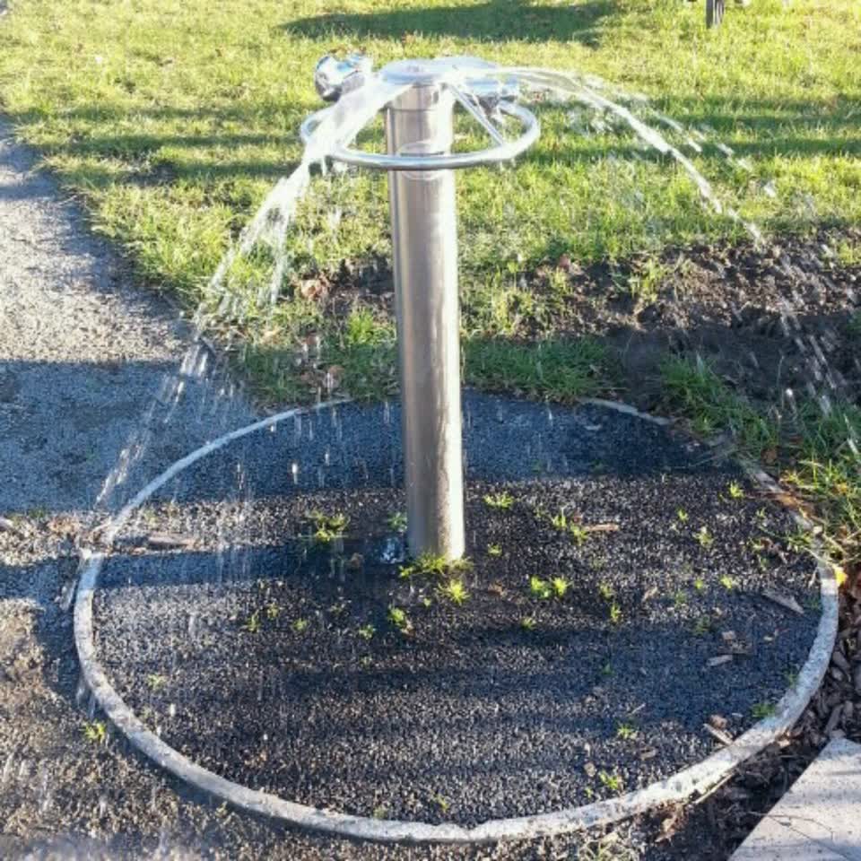 The photograph attached to this parks report