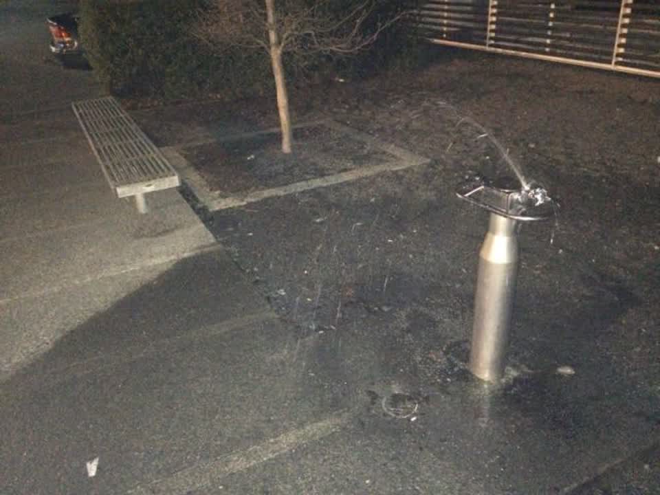 The photograph attached to this water supply report