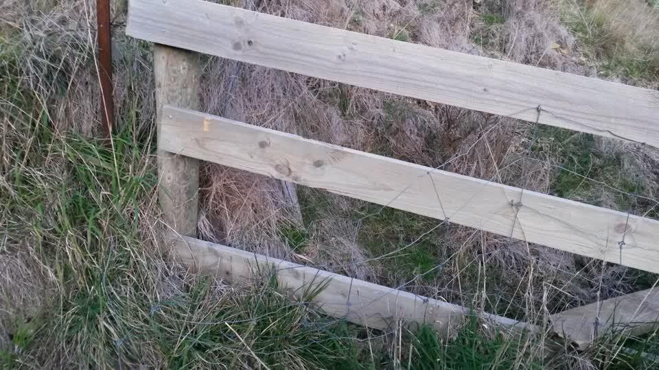 The photograph attached to this parks report