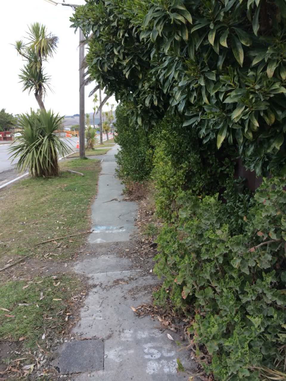 The photograph attached to this roading/streets report
