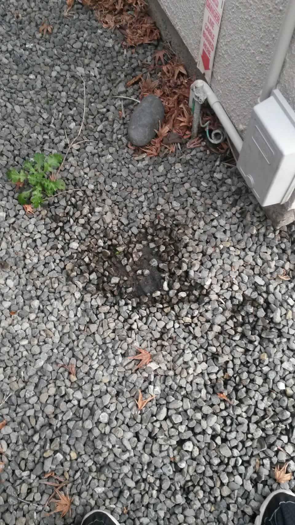 The photograph attached to this water supply report