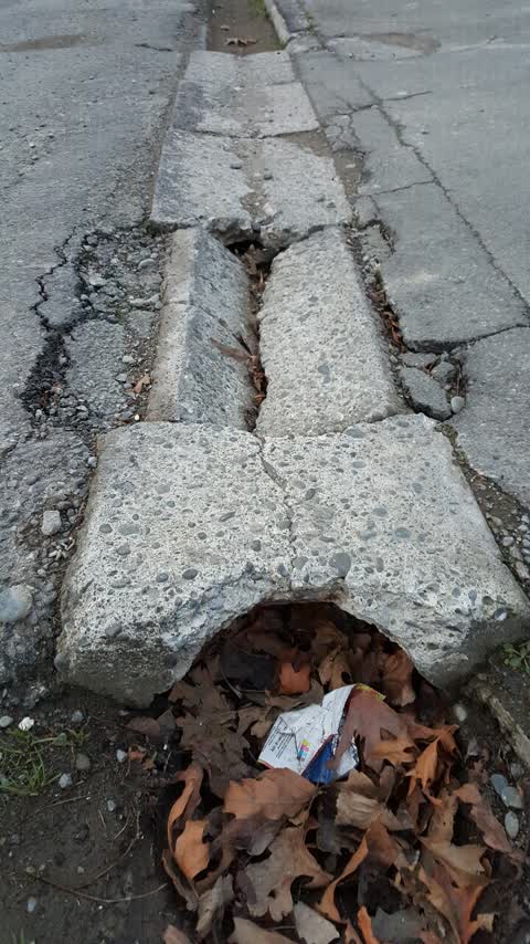 Roading/Streets, a report photo