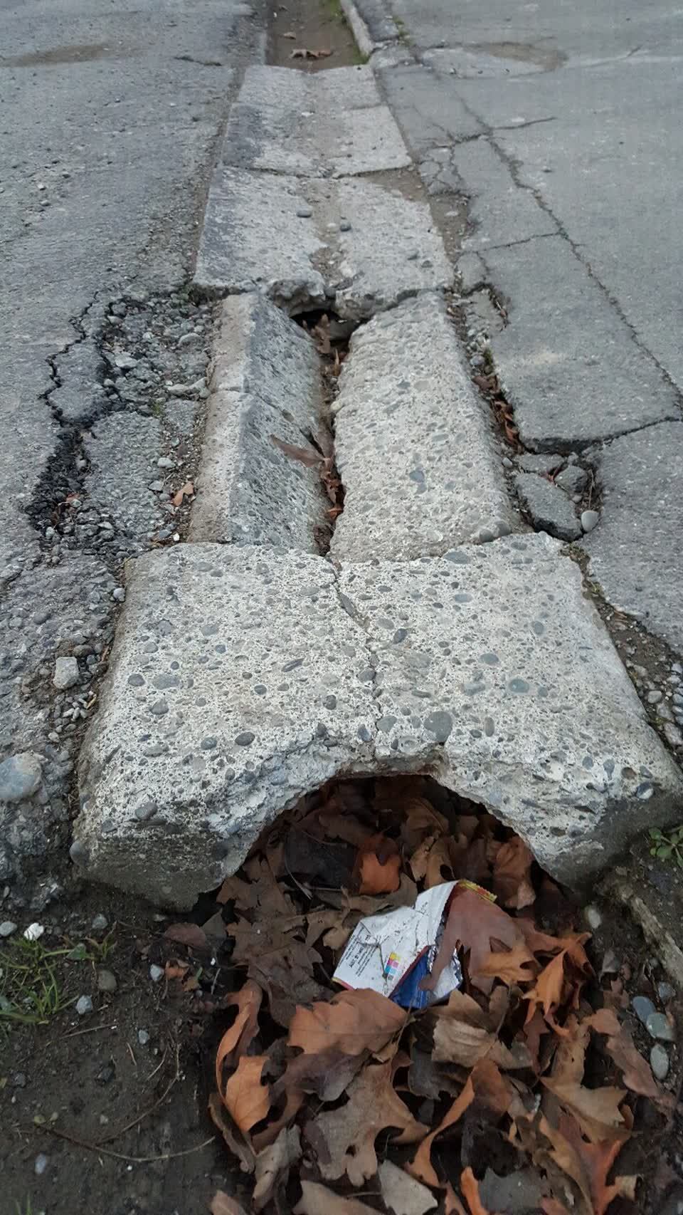 The photograph attached to this roading/streets report