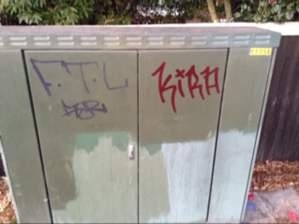 The photograph attached to this graffiti report
