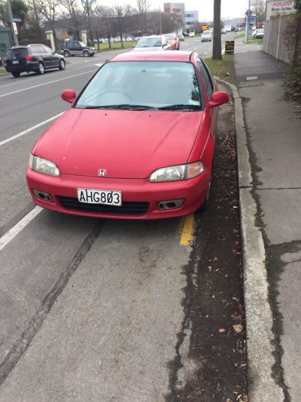 The photograph attached to this parks report